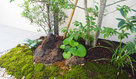 実用性と機能性